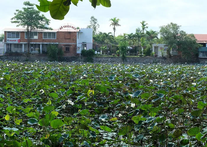 Dai Long Hotel Đà Nẵng