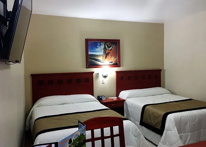 Hotel Nv Zapopan