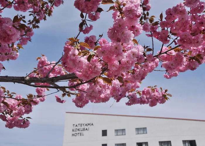 Tateyama Kokusai Hotel Ashikuraji