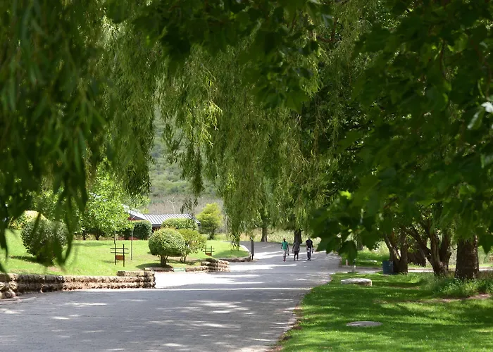 Golden Gate Hotel And Chalets Clarens