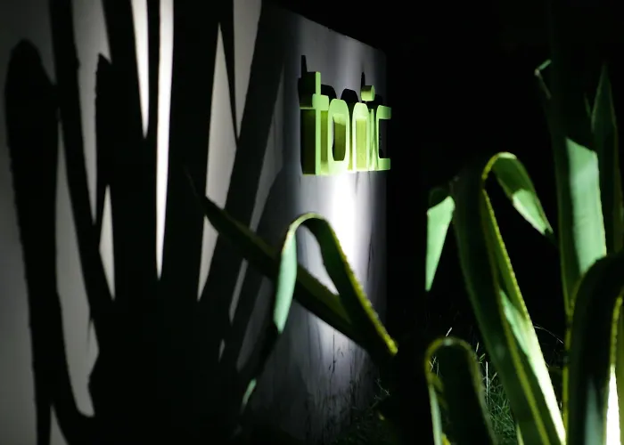 Tonic Hotel Lovedale