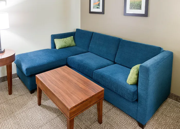 Comfort Inn & Suites West - Medical Center Rochester