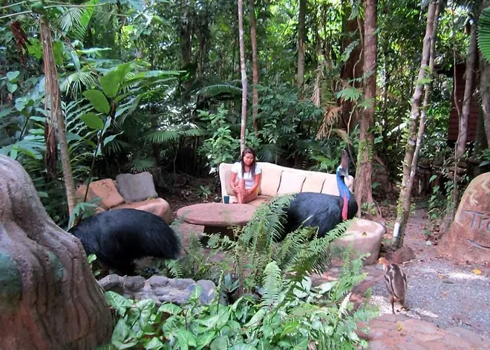 Rainforest Hideaway Cape Tribulation