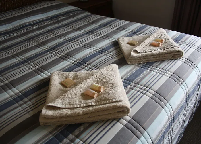 Isis Motel Scone