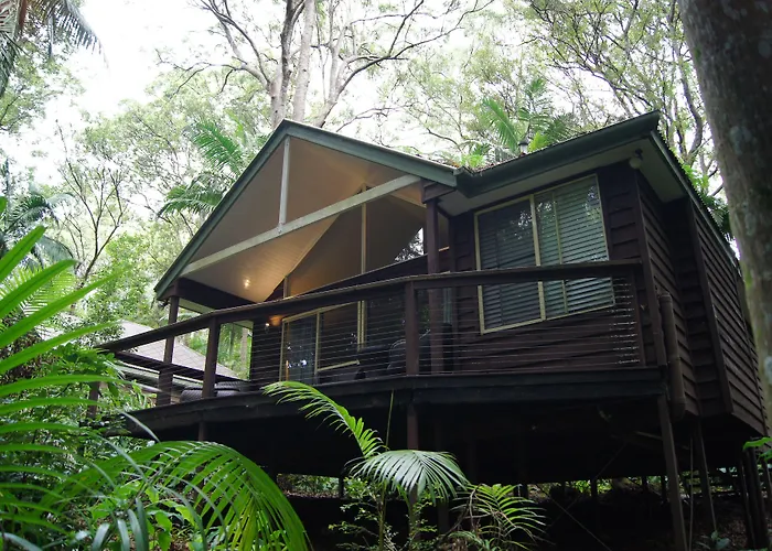 Songbirds Rainforest Retreat Mount Tamborine
