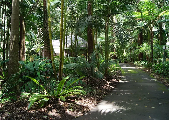 Songbirds Rainforest Retreat Mount Tamborine