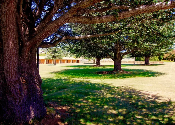 Snowy Mountains Resort And Function Centre Adaminaby