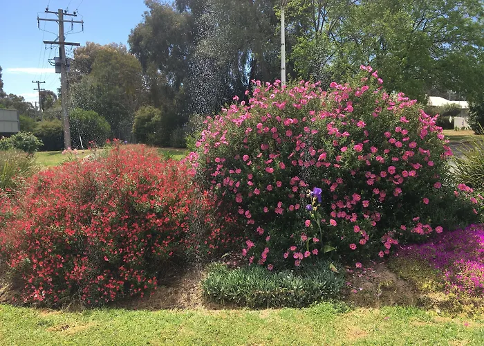 Byer Fountain Motor Inn Holbrook
