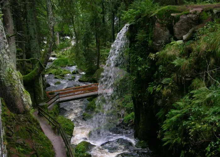 Hotel Grossbach Menzenschwand