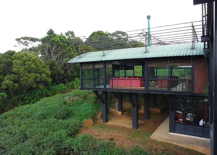 The Rainforest Ecolodge Deniyaya