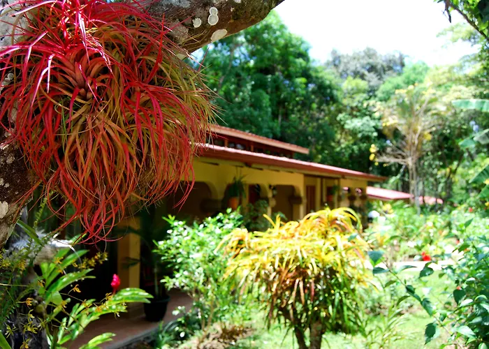 Jaco Hotel Docelunas
