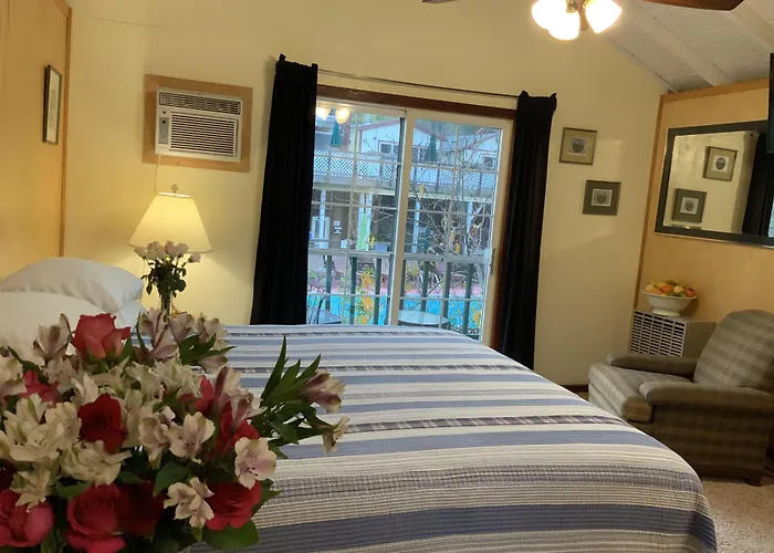 The Woods Hotel - Gay Lgbtq Cabins Guerneville