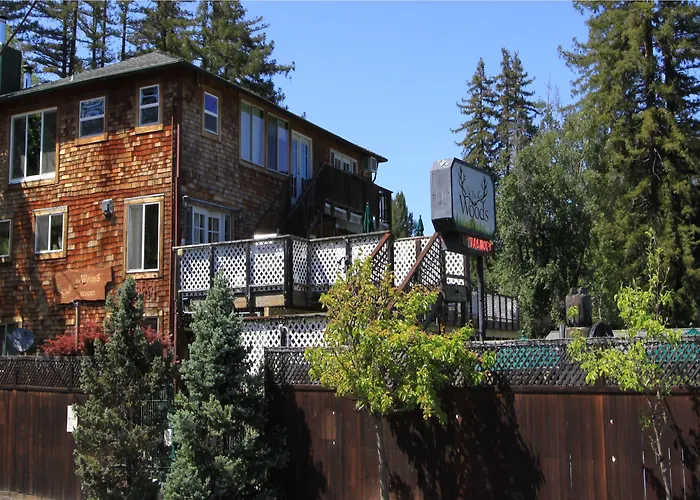 The Woods Hotel - Gay Lgbtq Cabins Guerneville