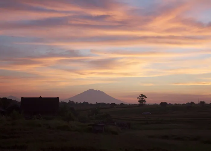 Oasis Canggu 