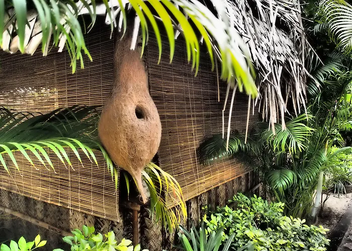The Palm Trees Resort Patnem Beach