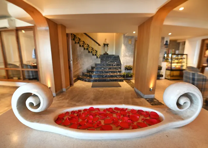 The Cedar Grand Hotel And Spa Shimla