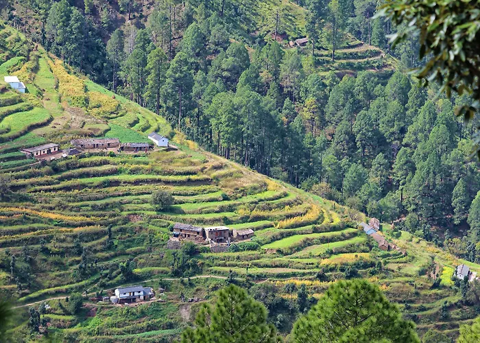 Whispering Pines Hotel Kanatal