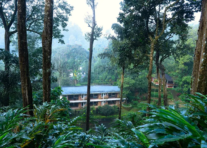 Falling Waters Munnar