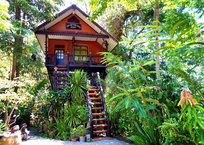 Khao Sok Tree House Resort Khao Sok National Park