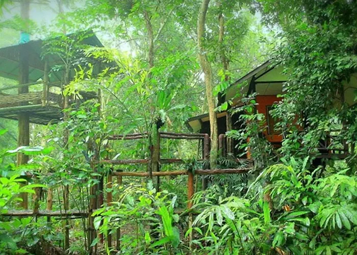 Khao Sok Tree House Resort Khao Sok National Park