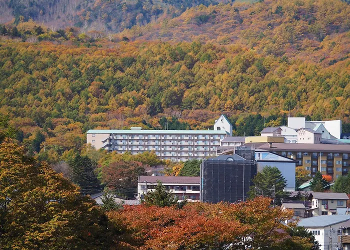 Buna Kusatsu Onsen Inn