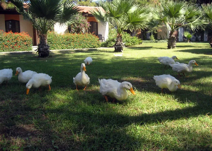 Denizatı Holiday Village Gümüldür