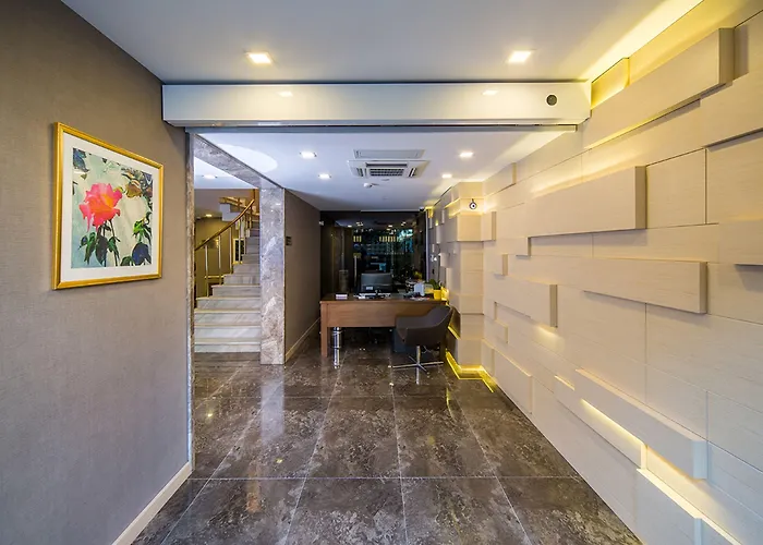 Molton Monapart Mecidiyekoy Estambul
