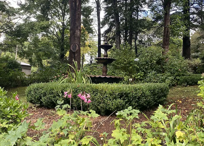 Belle Le Vie Bed & Breakfast Sassafras