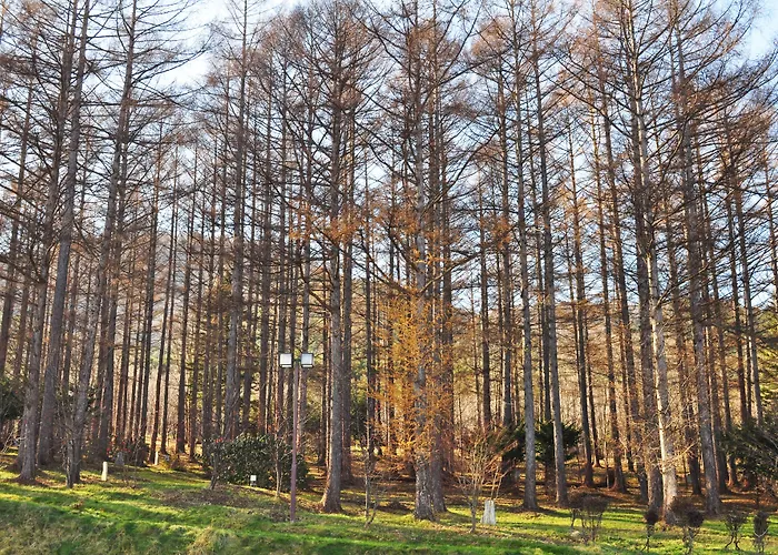 Highland Furano Hotel