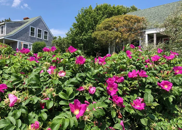 Sea Breeze Inn New Shoreham