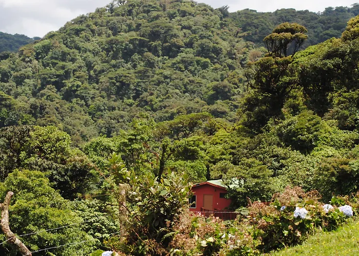 Vistaverde Lodge Monteverde