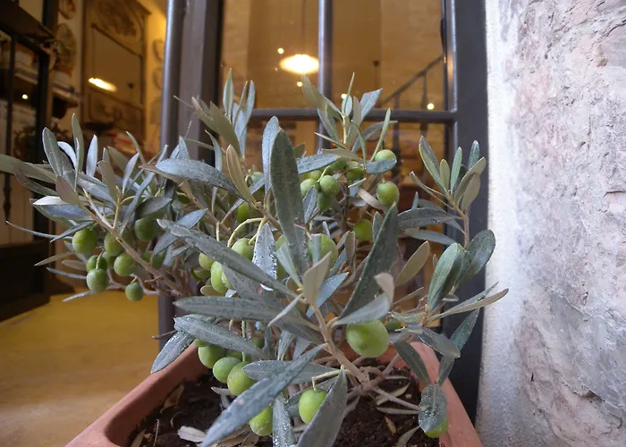 Bed And Breakfast A Casa Delle Fate Assisi