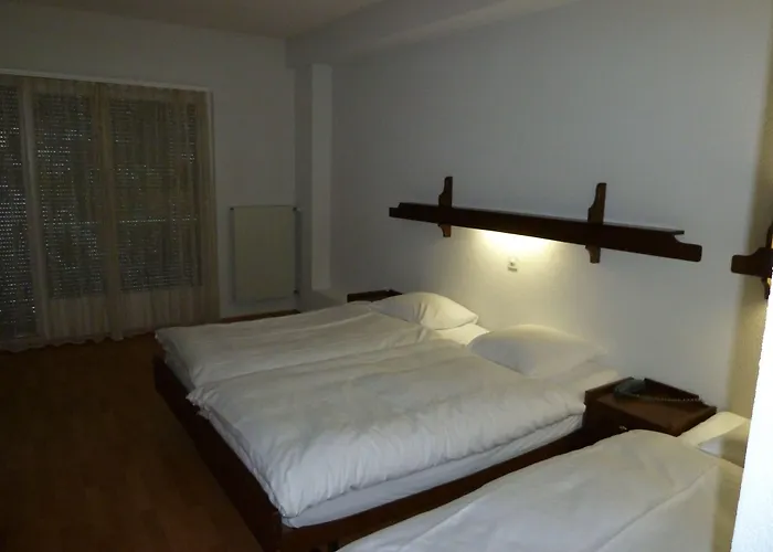 Hotel Du Stand Martigny