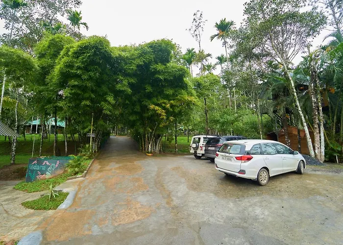Kedara Resort Wayanad Pet Friendly With Pool Sultan Bathery