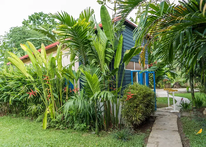 Canary Guesthouse Pai