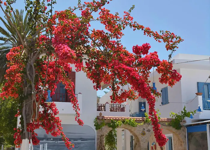 Saronis Hotel Agistri - Adults Only Skala 