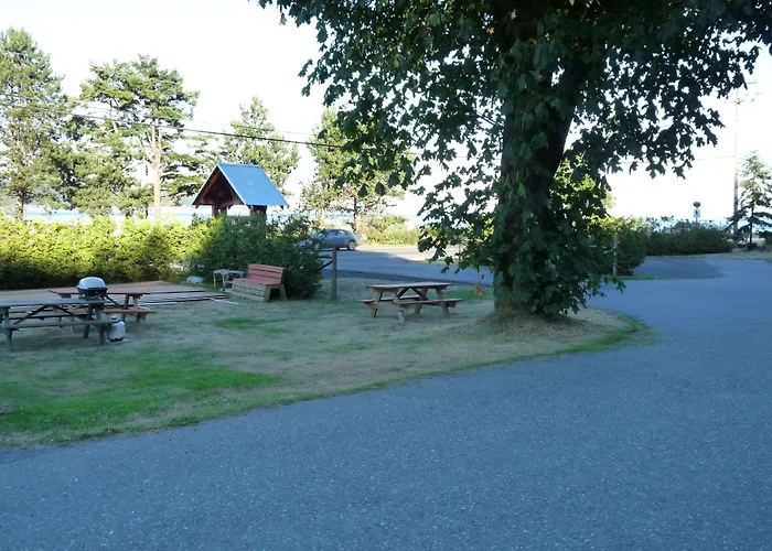 Driftwood By The Sea Inn Campbell River