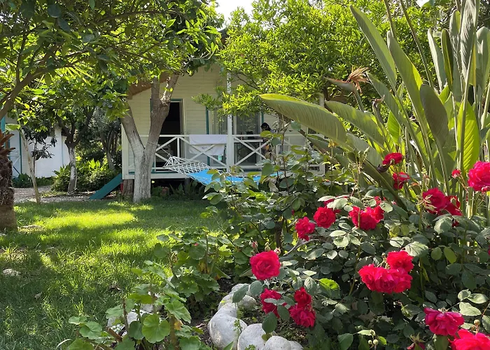 Bellerofon Beach Otel Cirali