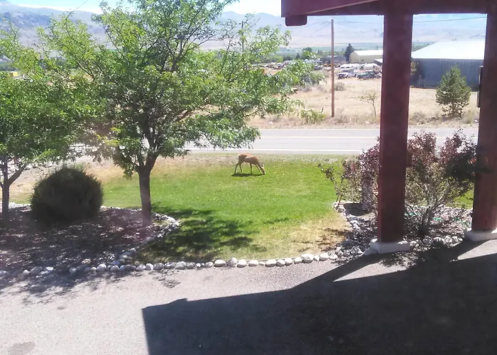 Northgate Inn Motel Challis