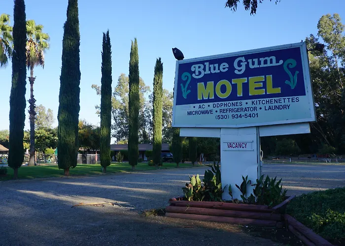 Blue Gum Motel Willows