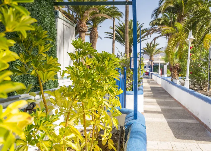 Apartamentos Puerto Colon Club Costa Adeje 