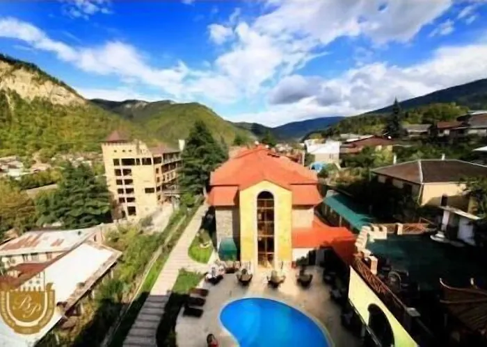 Borjomi Palace Health & Spa Center