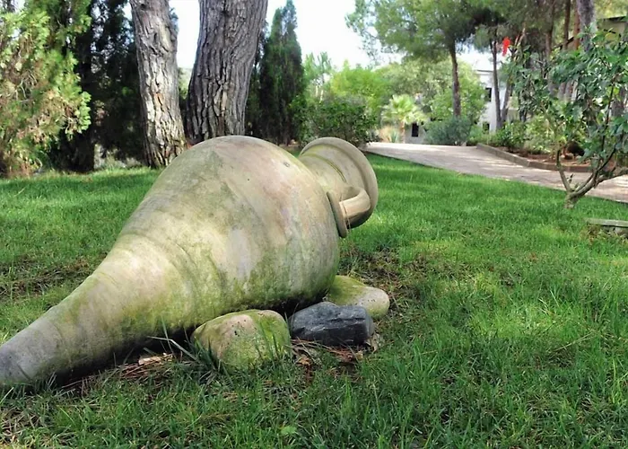 Villaggio Pineta Petto Bianco Capo Vaticano