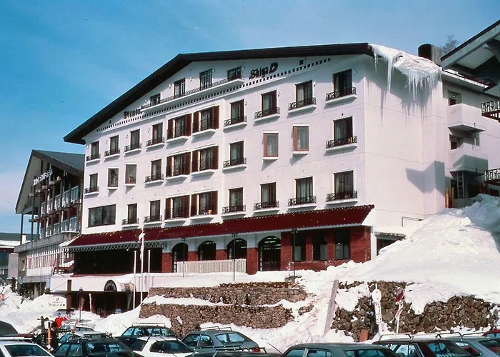 Diamond Shiga Hotel Yamanouchi 