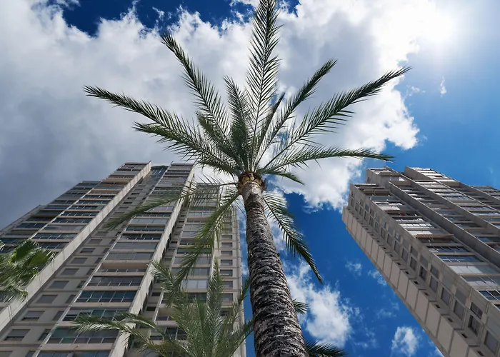 Apartamentos Gemelos 20 - Beninter Benidorm