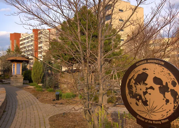 Humber College North Campus Residence Brampton