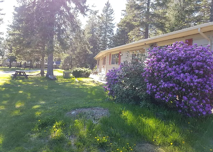 Pinecone Motel Sussex