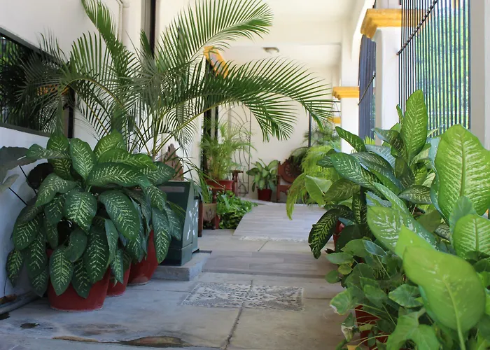 Hotel Arrecife Huatulco Plus Santa Cruz - Huatulco