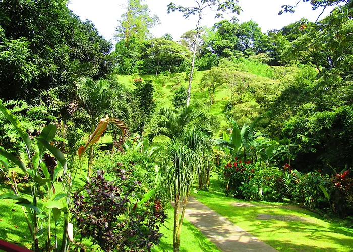 Agua Inn Nuevo Arenal