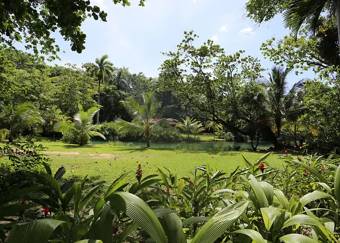 Frenchman'S Cove Resort Port Antonio